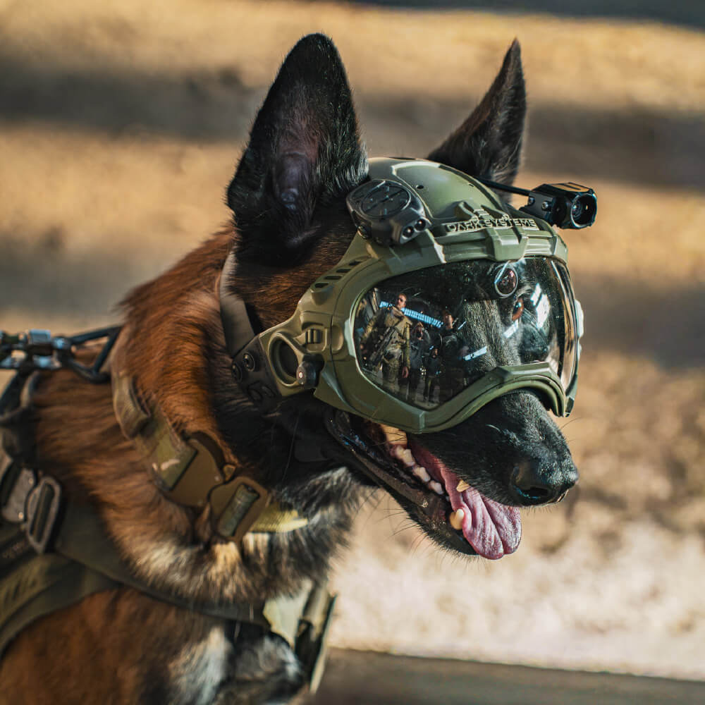 DarkFighter Built-In K9 kamera 2 - kép 10