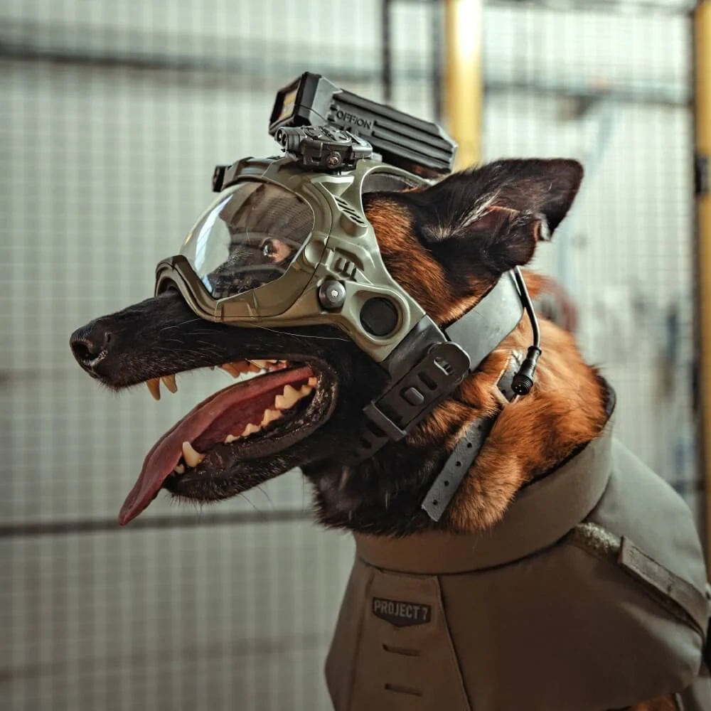 DarkFighter Built-In K9 kamera 2 - kép 8