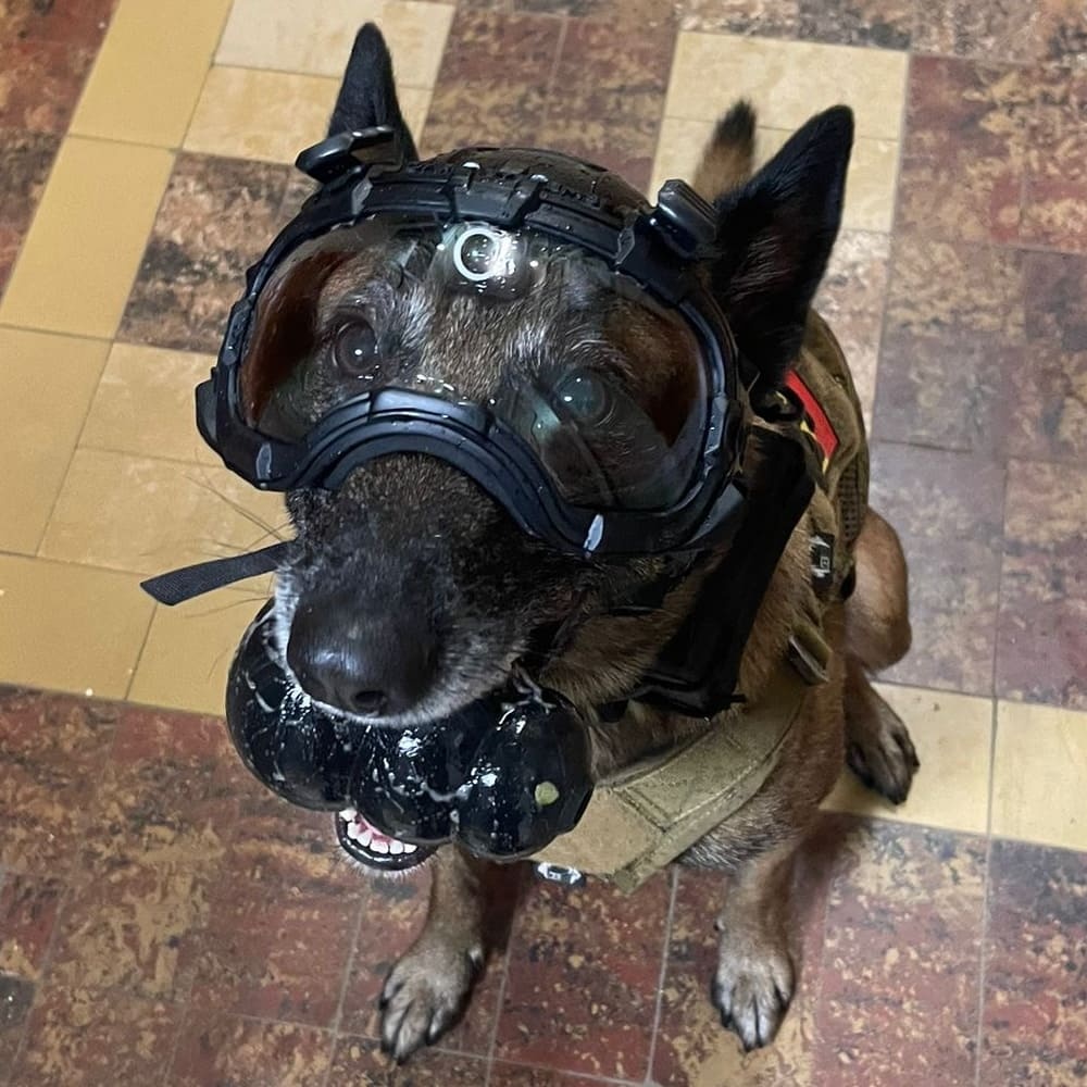 DarkFighter Built-In K9 kamera 2 - kép 7
