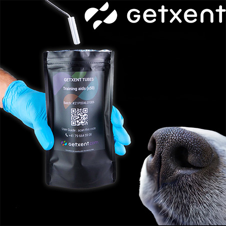 Dog Energy Hungary