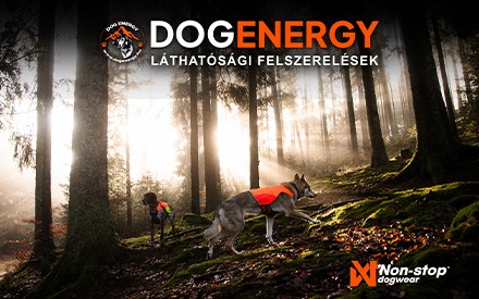 Dog Energy Hungary