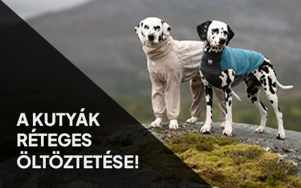 Dog Energy Hungary
