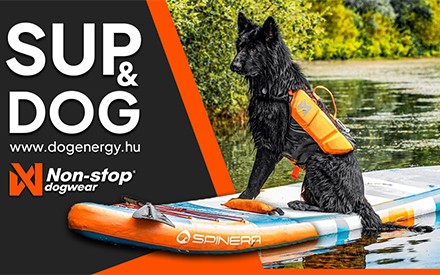 Dog Energy Hungary