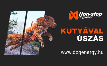 Dog Energy Hungary